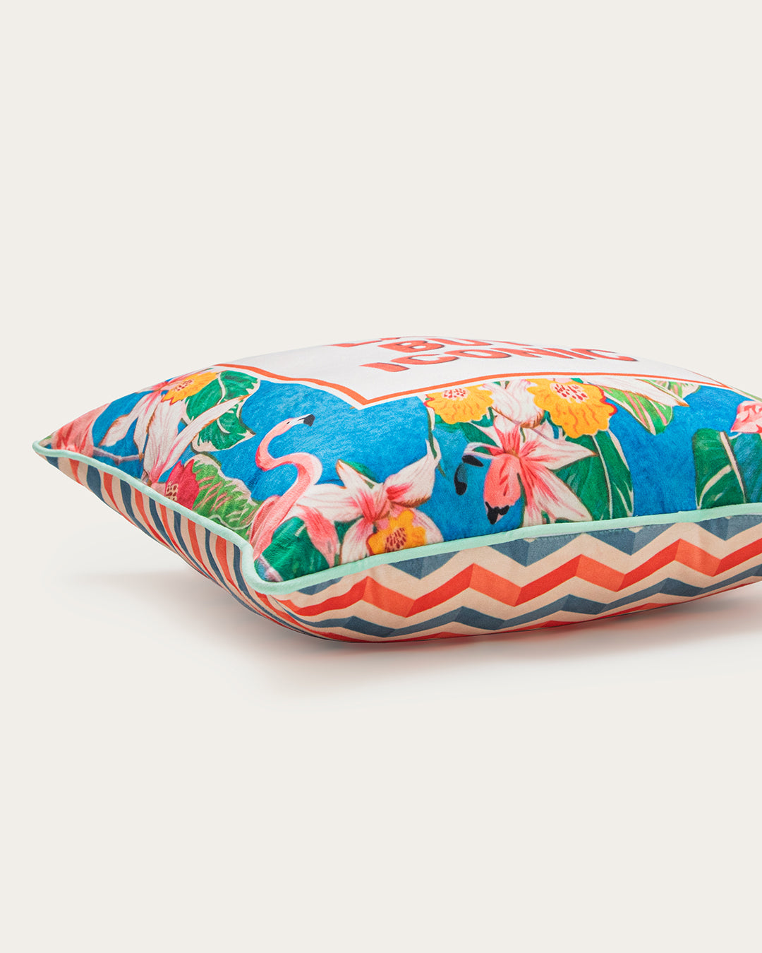Late But Iconic Velvet Statement Pillow | 17 × 17 in